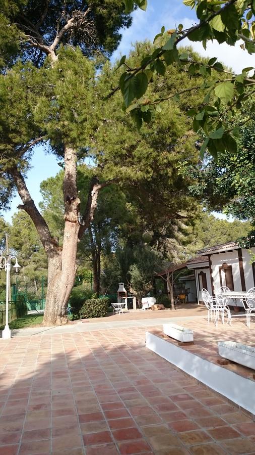 Villa Chabola Denia Exteriör bild